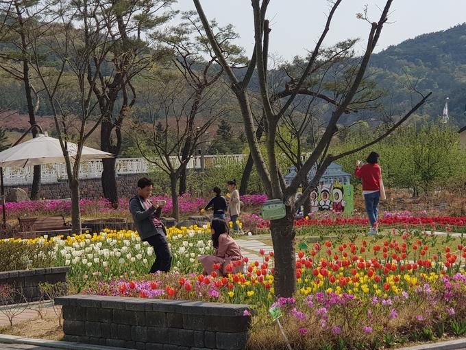 사진=경주 동궁원 오는 9일 튤립축제 개최 형형색색 화초 만개