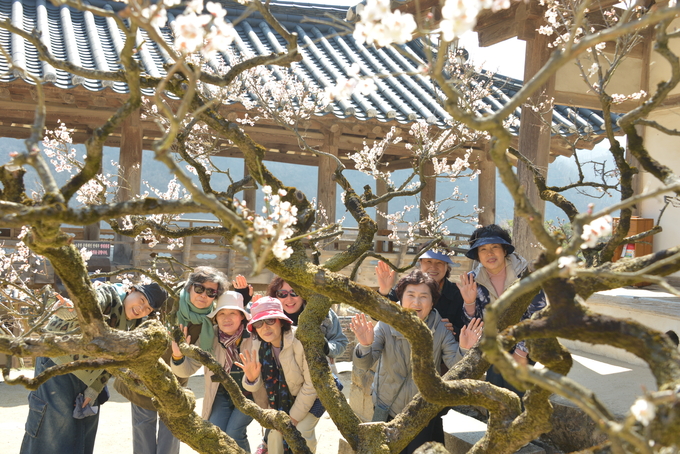 병산서원 만대루 앞