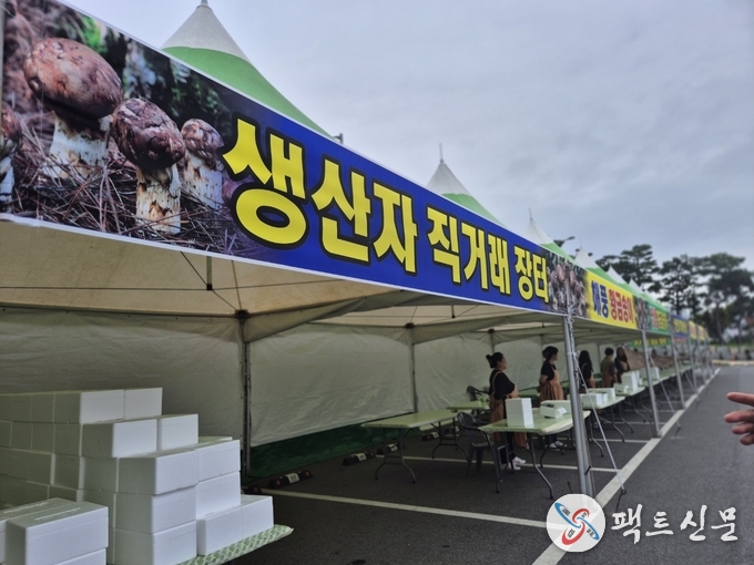 구미박정희체육관 앞