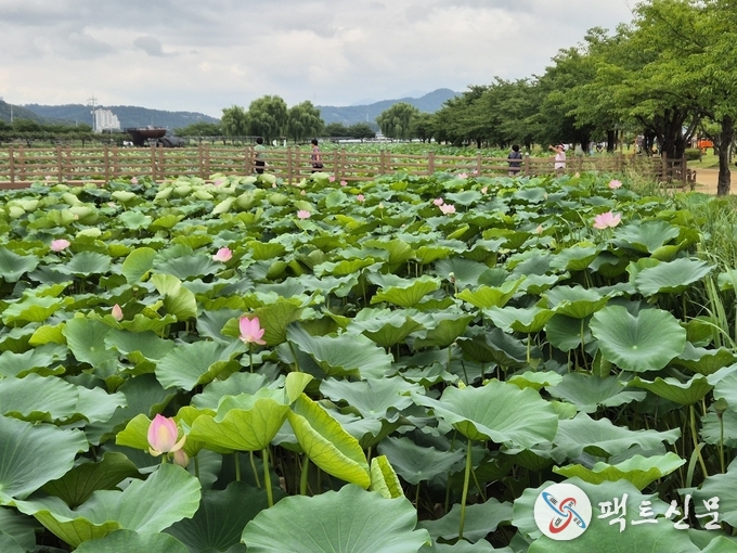 지산샛강생태공원