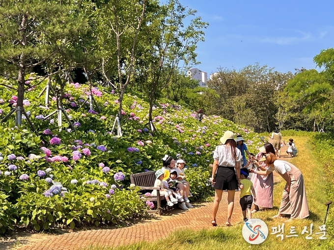구포 다온숲