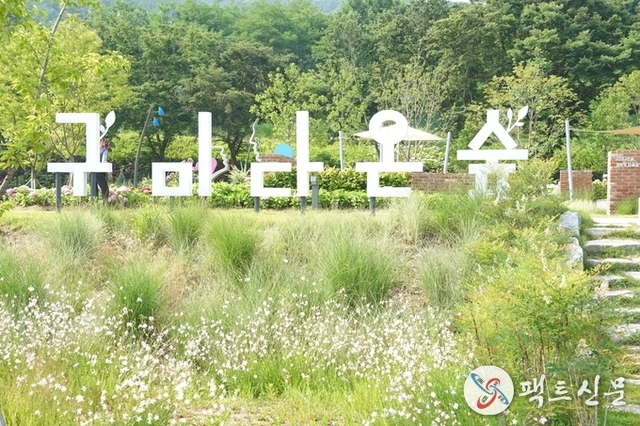 구미시, 구미다온숲.. 경북 대표 수국 명소로 거듭나